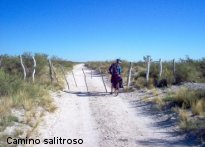 camino salitroso